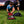 Pitch Pack Original
